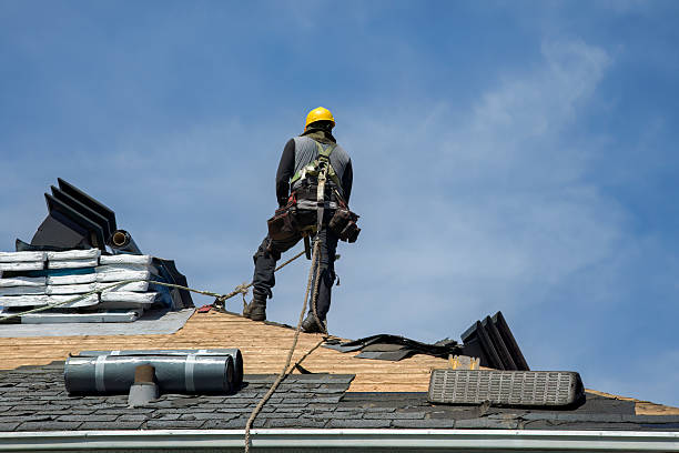 Professional Flat Roof Repair technician working in Janesville, MN
